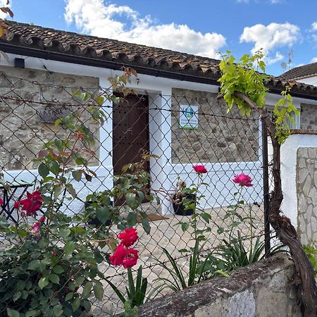 Villa La Casa Vieja De Marchenilla Jimena De La Frontera Esterno foto